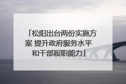 松阳出台两份实施方案 提升政府服务水平和干部履职能力