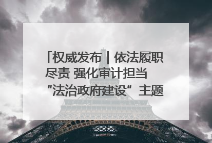 权威发布｜依法履职尽责 强化审计担当 “法治政府建设”主题系列新闻发布会市审计局专场召开