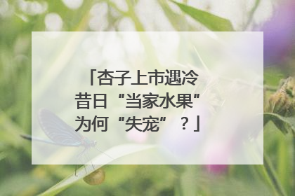 杏子上市遇冷 昔日“当家水果”为何“失宠”？
