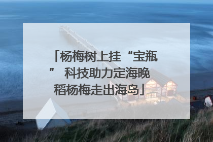 杨梅树上挂“宝瓶” 科技助力定海晚稻杨梅走出海岛