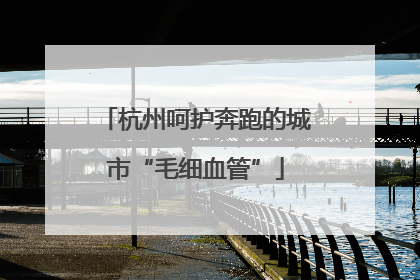 杭州呵护奔跑的城市“毛细血管”