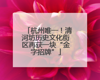 杭州唯一！清河坊历史文化街区再获一块“金字招牌”