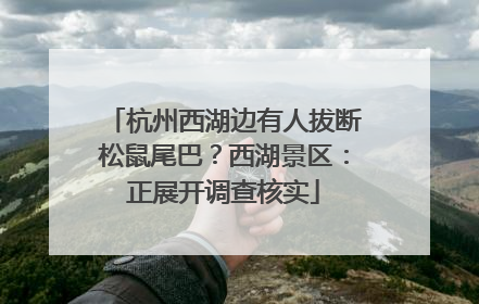 杭州西湖边有人拔断松鼠尾巴？西湖景区：正展开调查核实