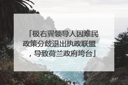 极右翼领导人因难民政策分歧退出执政联盟，导致荷兰政府垮台