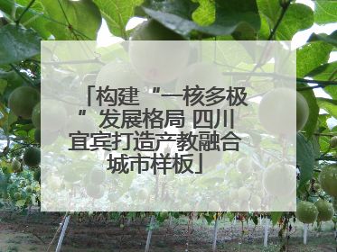 构建“一核多极”发展格局 四川宜宾打造产教融合城市样板