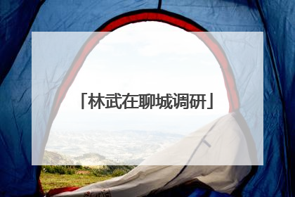 林武在聊城调研