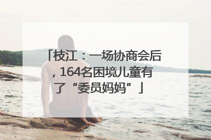 枝江：一场协商会后，164名困境儿童有了“委员妈妈”