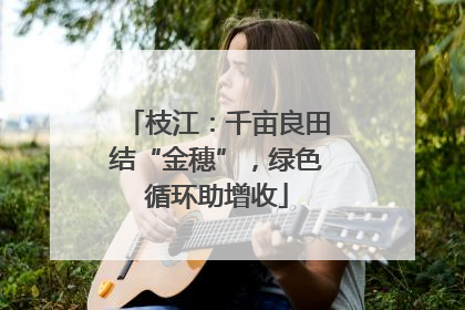枝江：千亩良田结“金穗”，绿色循环助增收