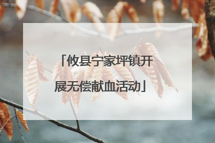 攸县宁家坪镇开展无偿献血活动