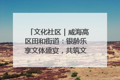 文化社区｜威海高区田和街道：银龄乐享文体盛宴，共筑文化社区幸福共同体