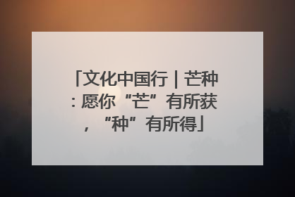 文化中国行｜芒种：愿你“芒”有所获，“种”有所得