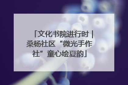 文化书院进行时｜桑杨社区“微光手作社”童心绘夏韵