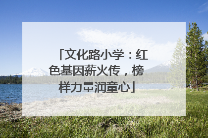 文化路小学：红色基因薪火传，榜样力量润童心