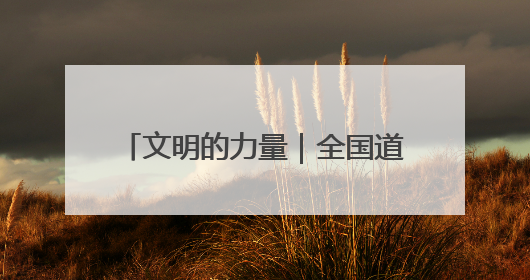 文明的力量｜全国道德模范徐淙祥：50余年躬身科技种粮一线