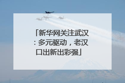新华网关注武汉：多元驱动，老汉口出新出彩强
