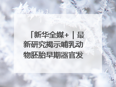 新华全媒+｜最新研究揭示哺乳动物胚胎早期器官发育“密码”