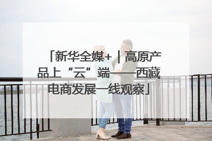 新华全媒+｜高原产品上“云”端——西藏电商发展一线观察