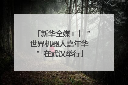 新华全媒+丨“世界机器人嘉年华”在武汉举行
