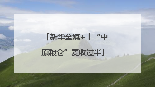 新华全媒+丨“中原粮仓”麦收过半