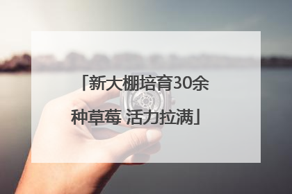 新大棚培育30余种草莓 活力拉满