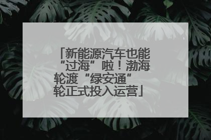 新能源汽车也能“过海”啦！渤海轮渡“绿安通” 轮正式投入运营
