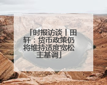 时报访谈丨田轩：货币政策仍将维持适度宽松主基调