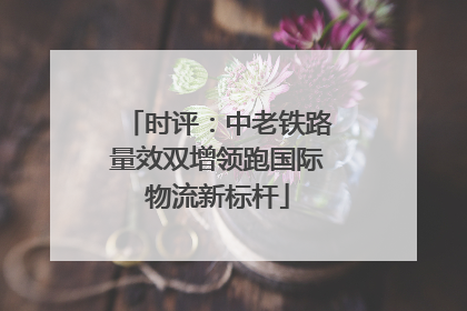 时评：中老铁路量效双增领跑国际物流新标杆
