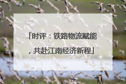 时评：铁路物流赋能，共赴江南经济新程