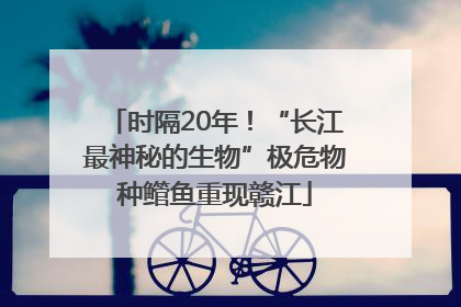 时隔20年！“长江最神秘的生物”极危物种鳤鱼重现赣江