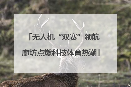 无人机“双赛”领航 廊坊点燃科技体育热潮