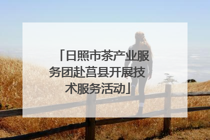 日照市茶产业服务团赴莒县开展技术服务活动