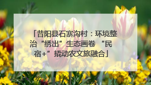 昔阳县石寨沟村：环境整治“绣出”生态画卷 “民宿+”撬动农文旅融合
