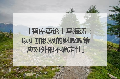 智库要论丨马海涛：以更加积极的财政政策应对外部不确定性