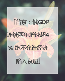 普京：俄GDP连续两年增速超4% 绝不允许经济陷入衰退