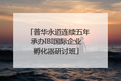 普华永道连续五年承办IBI国际企业孵化器研讨班