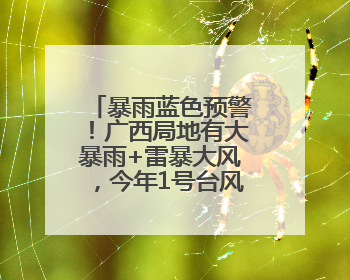 暴雨蓝色预警！广西局地有大暴雨+雷暴大风，今年1号台风最新消息……