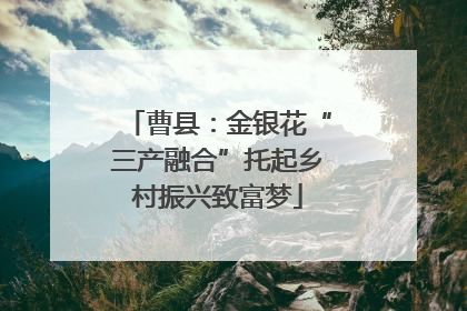 曹县：金银花“三产融合”托起乡村振兴致富梦
