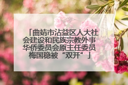 曲靖市沾益区人大社会建设和民族宗教外事华侨委员会原主任委员梅国稳被“双开”