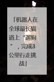 机器人在全球最长猫道上“遛狗”，完成3公里行走挑战