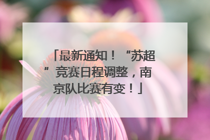 最新通知！“苏超”竞赛日程调整，南京队比赛有变！