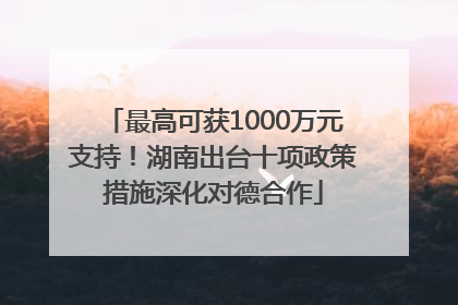 最高可获1000万元支持！湖南出台十项政策措施深化对德合作