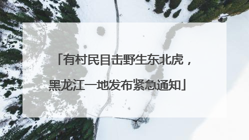 有村民目击野生东北虎，黑龙江一地发布紧急通知