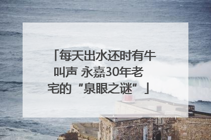 每天出水还时有牛叫声 永嘉30年老宅的“泉眼之谜”