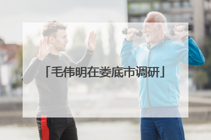毛伟明在娄底市调研