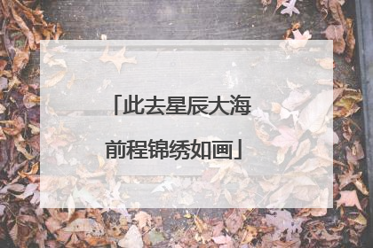 此去星辰大海 前程锦绣如画