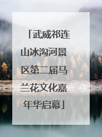 武威祁连山冰沟河景区第二届马兰花文化嘉年华启幕