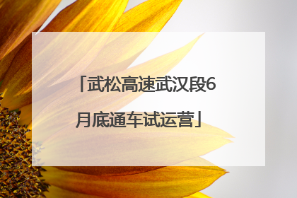 武松高速武汉段6月底通车试运营