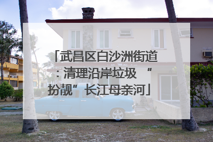 武昌区白沙洲街道：清理沿岸垃圾 “扮靓”长江母亲河