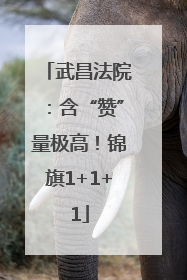 武昌法院：含“赞”量极高！锦旗1+1+1