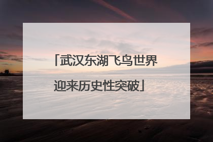 武汉东湖飞鸟世界迎来历史性突破